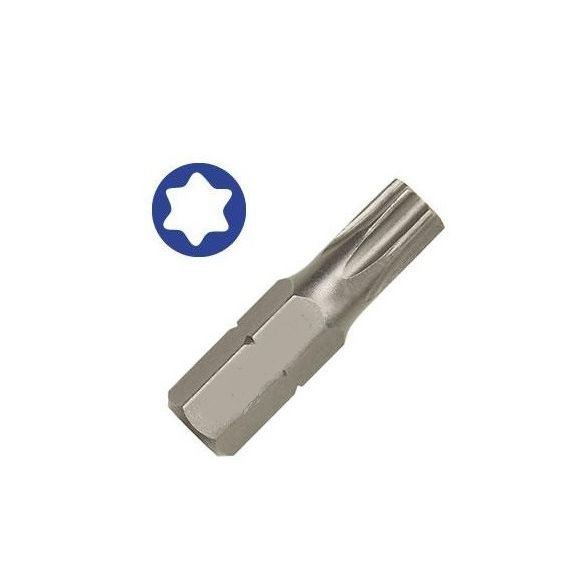 PUNTA ATORNILLADOR TORX 10X25