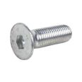 Tornillo Din 7991